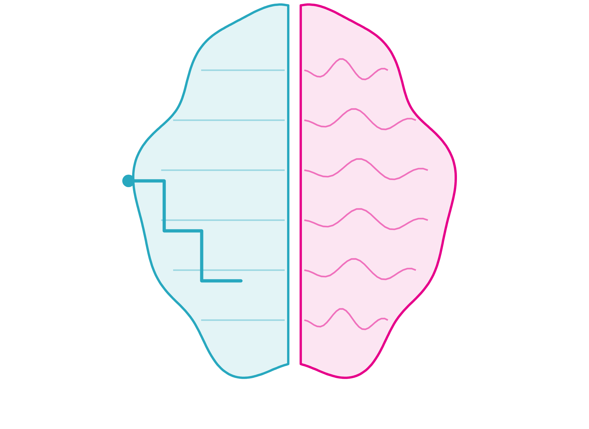 A brain in two halves: the project on the left, the decisions on the right.
